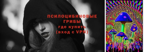 гидропоника Богданович