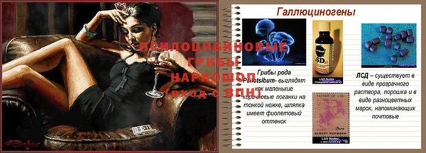 гидропоника Богданович